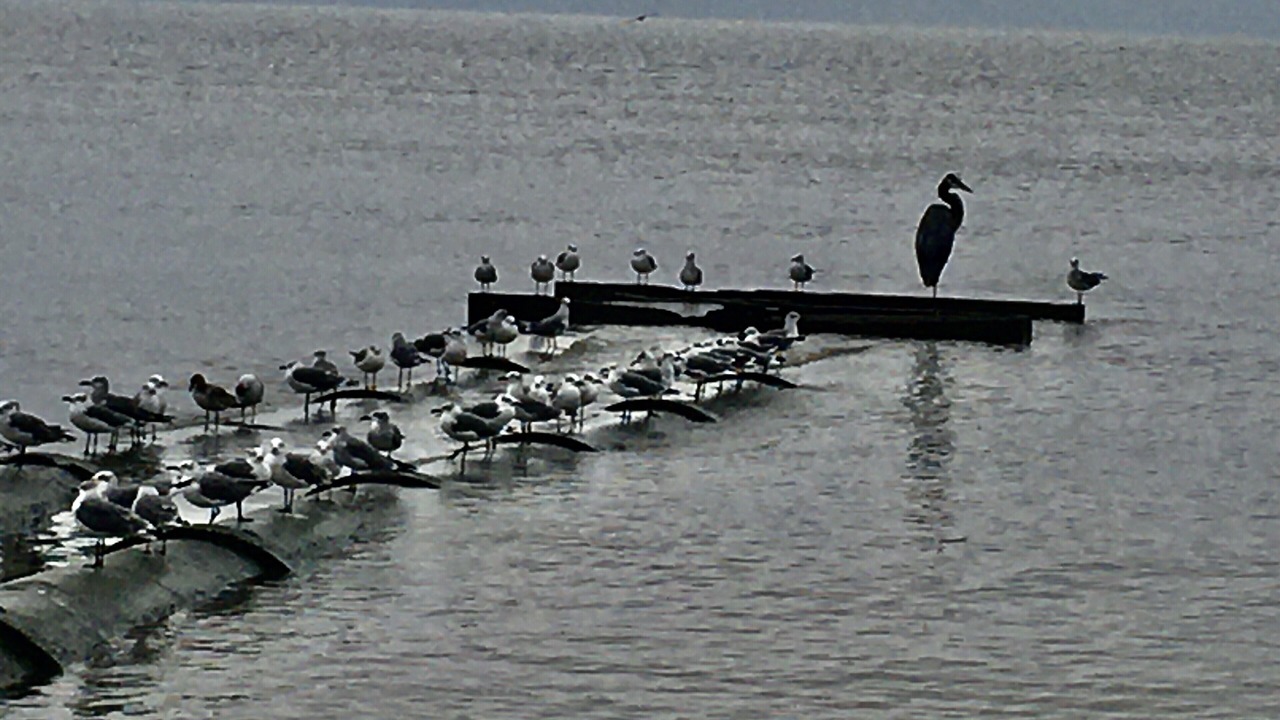 Photo of Others in Biloxi