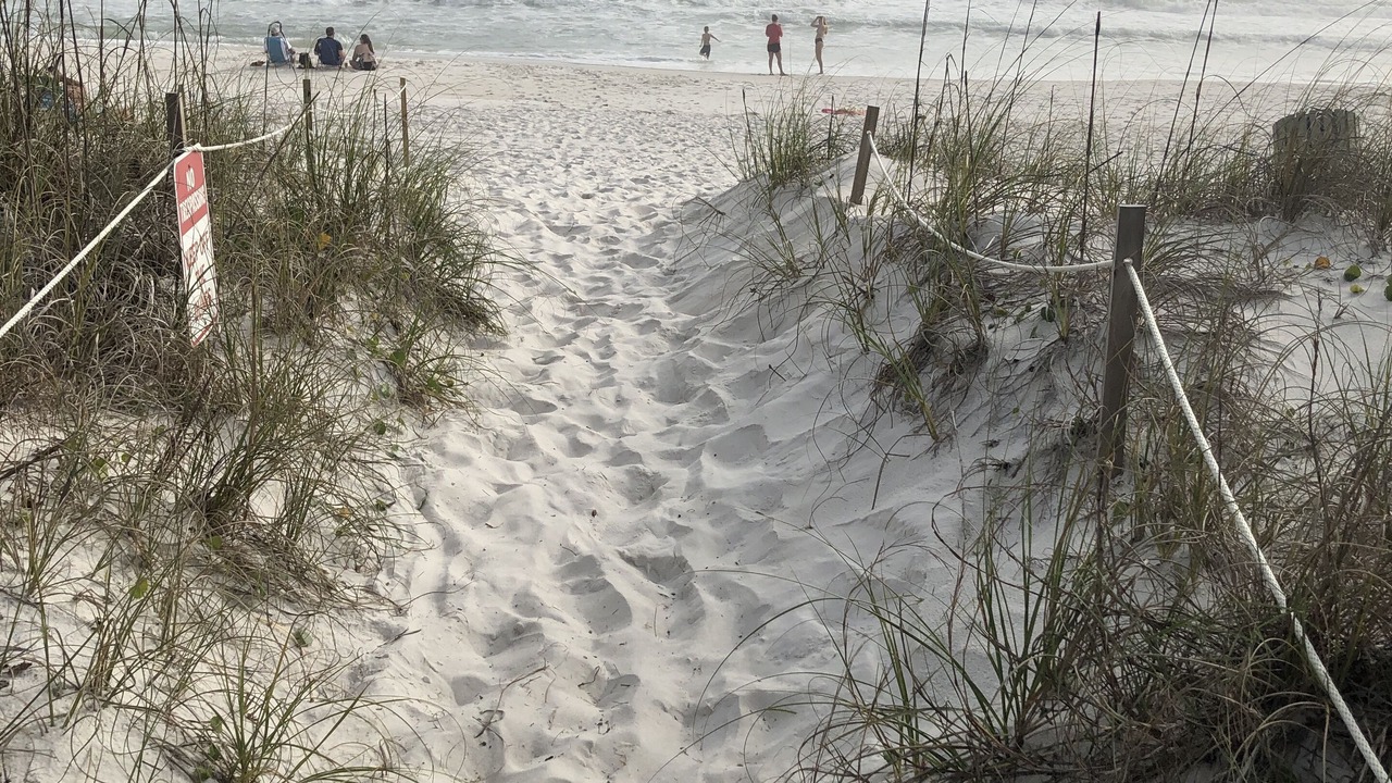 Photo of Others in Kiska Beach