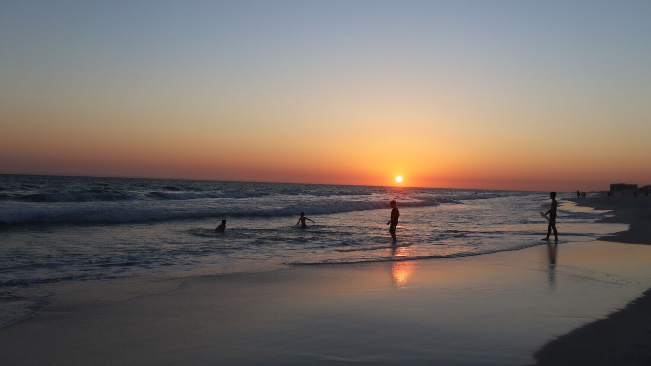 Photo of Others in Kiska Beach