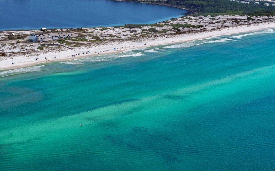 Photo of Others in Inlet Beach