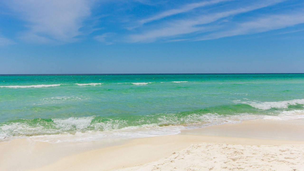 Photo of Others in Inlet Beach