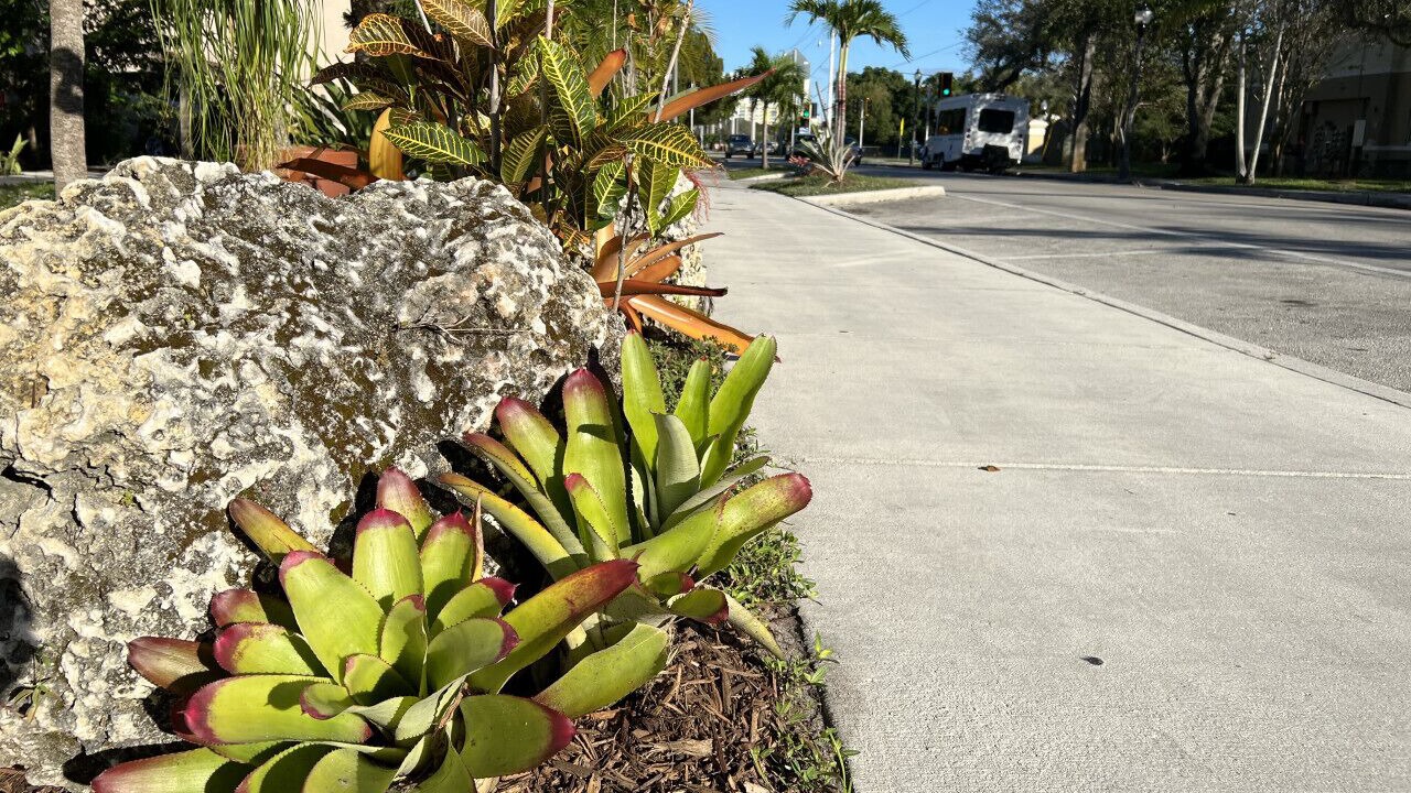Photo of Outdoor in Downtown Fort Lauderdale