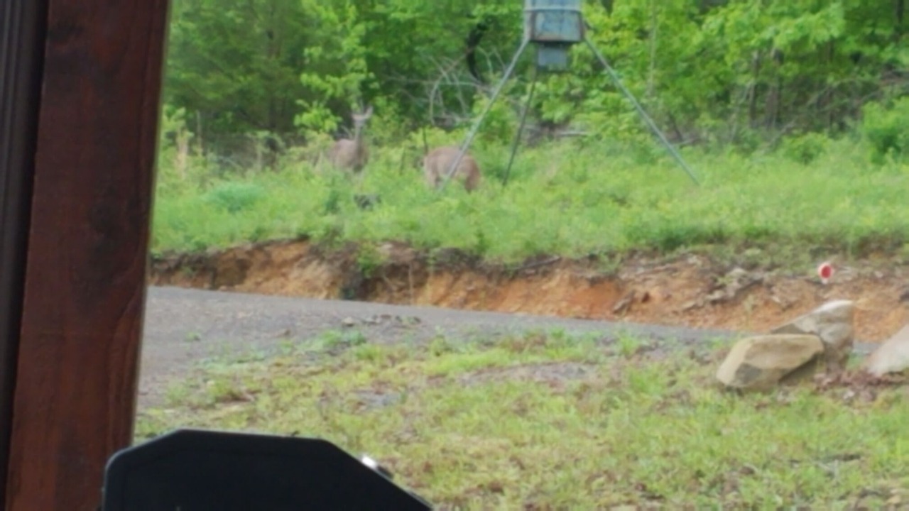 Photo of Outdoor in Smithville
