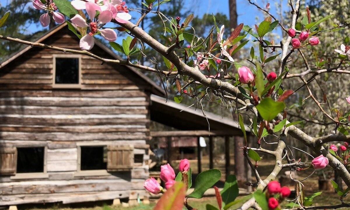 Photo of Outdoor in Tallahassee