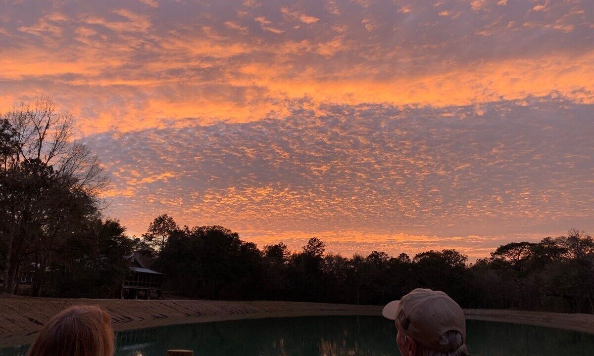 Photo of Others in Tallahassee