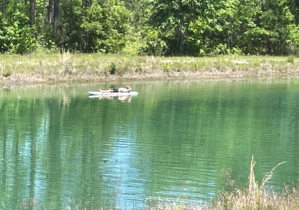 Photo of Others in Tallahassee
