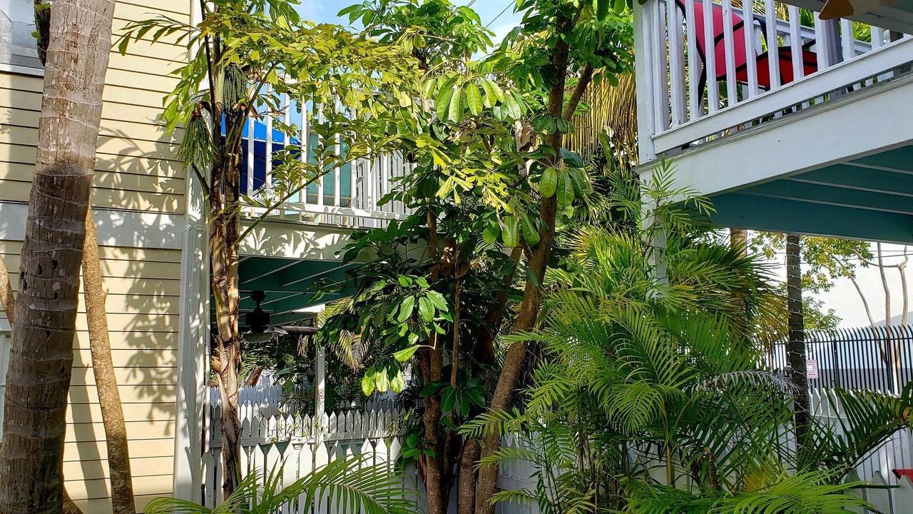 Photo of Outdoor in Bahama Village
