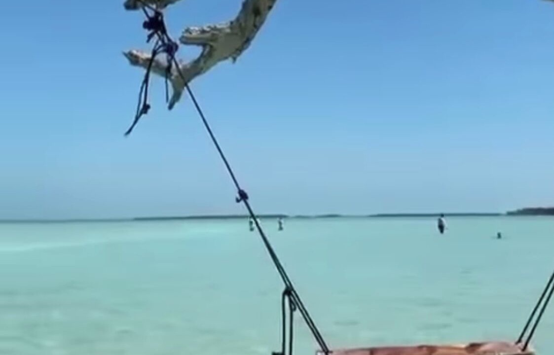 Photo of Others in Bahama Village