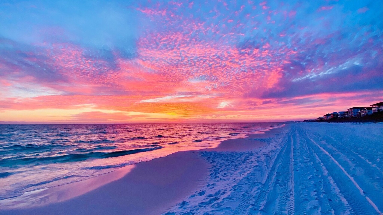 Photo of Others in Dune Allen Beach