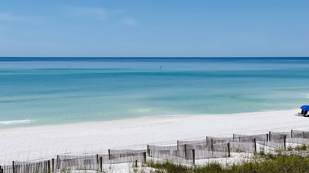 Photo of Others in Dune Allen Beach