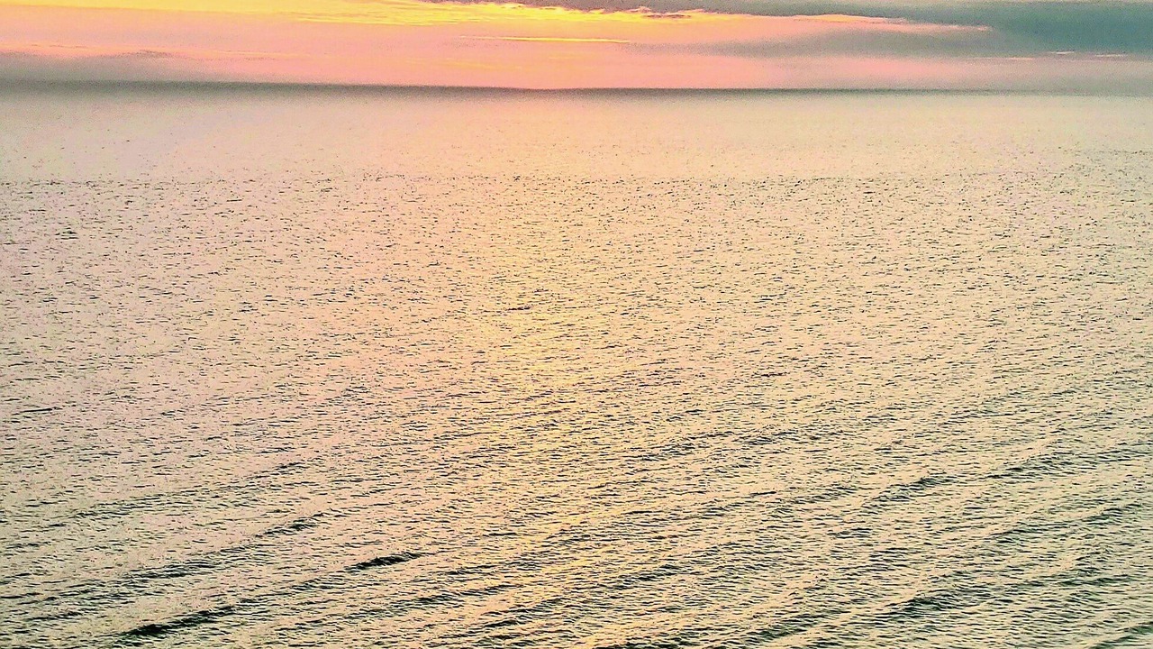 Photo of Others in Long Beach