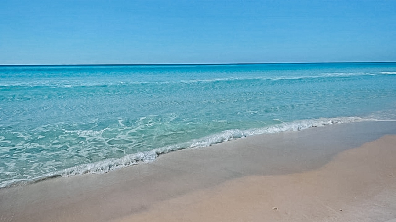 Photo of Others in Crescent Beach