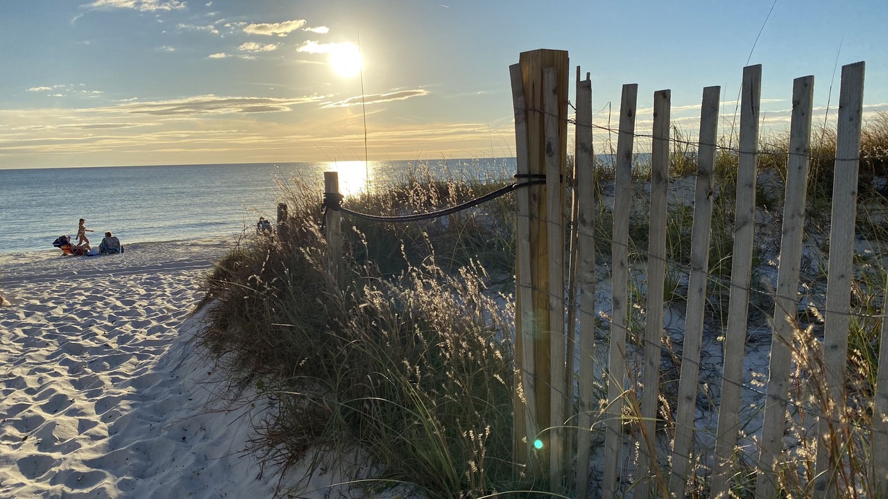 Photo of Others in Crescent Beach