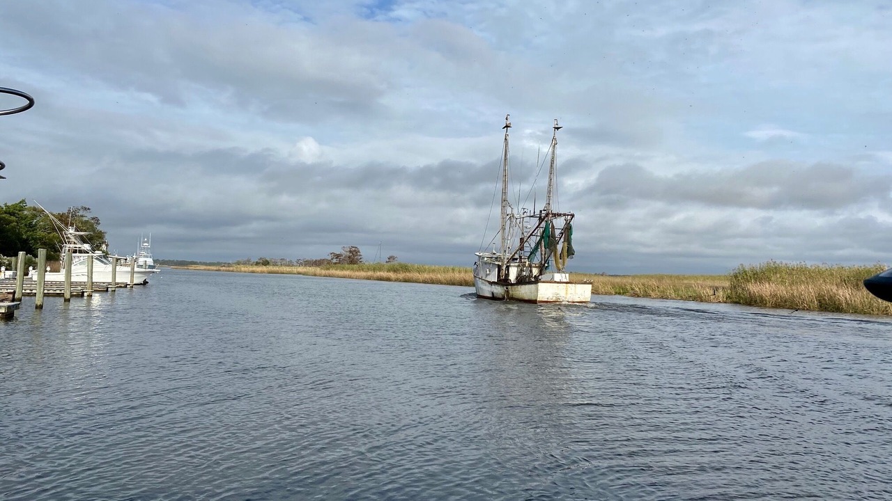 Photo of Outdoor in Apalachicola