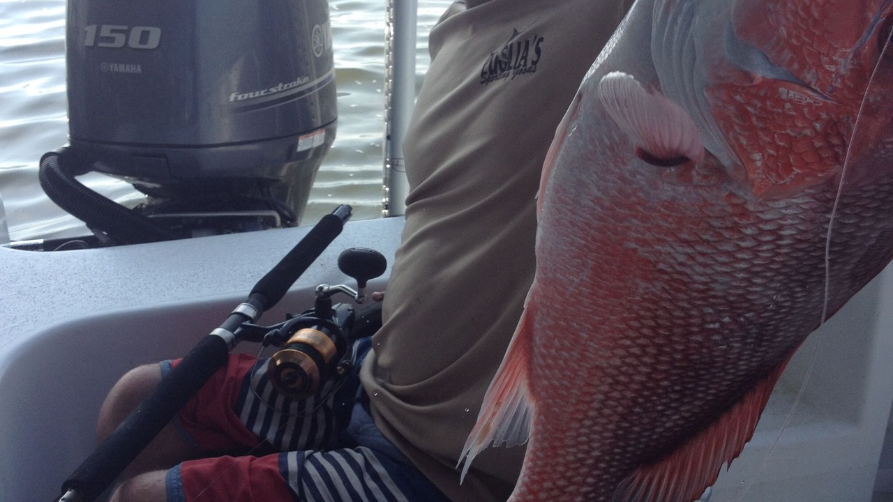Photo of Others in Port Sulphur