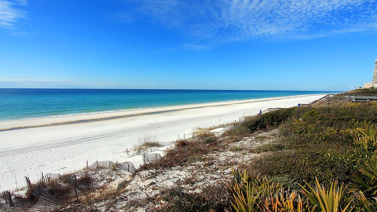 Photo of Others in Seagrove Beach