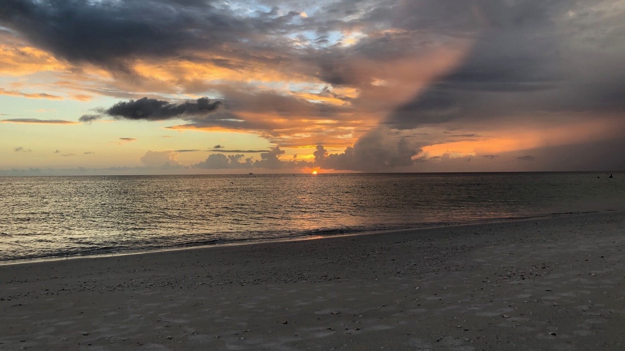 Photo of Others in Marco Island