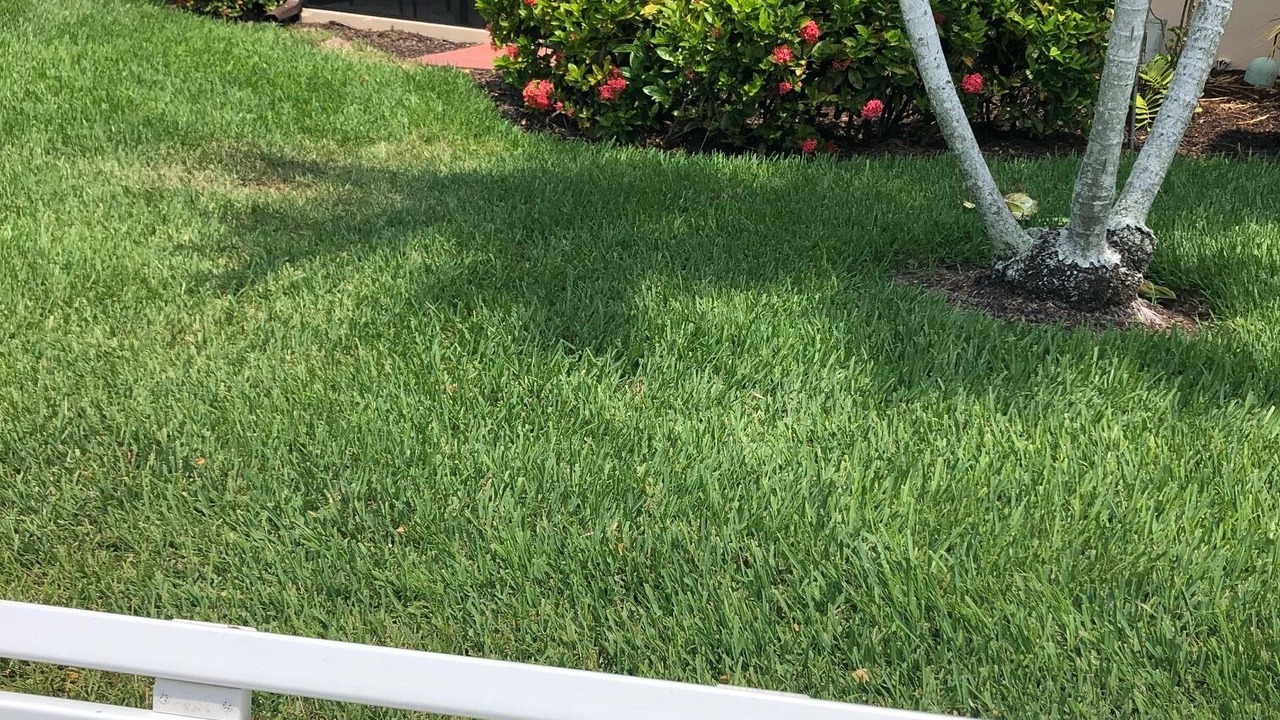 Photo of Outdoor in Marco Island
