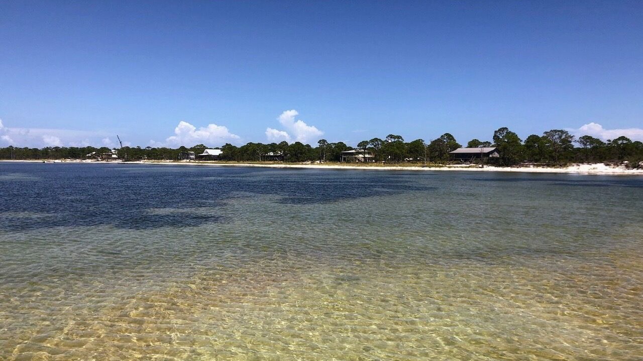 Photo of Others in Alligator Point