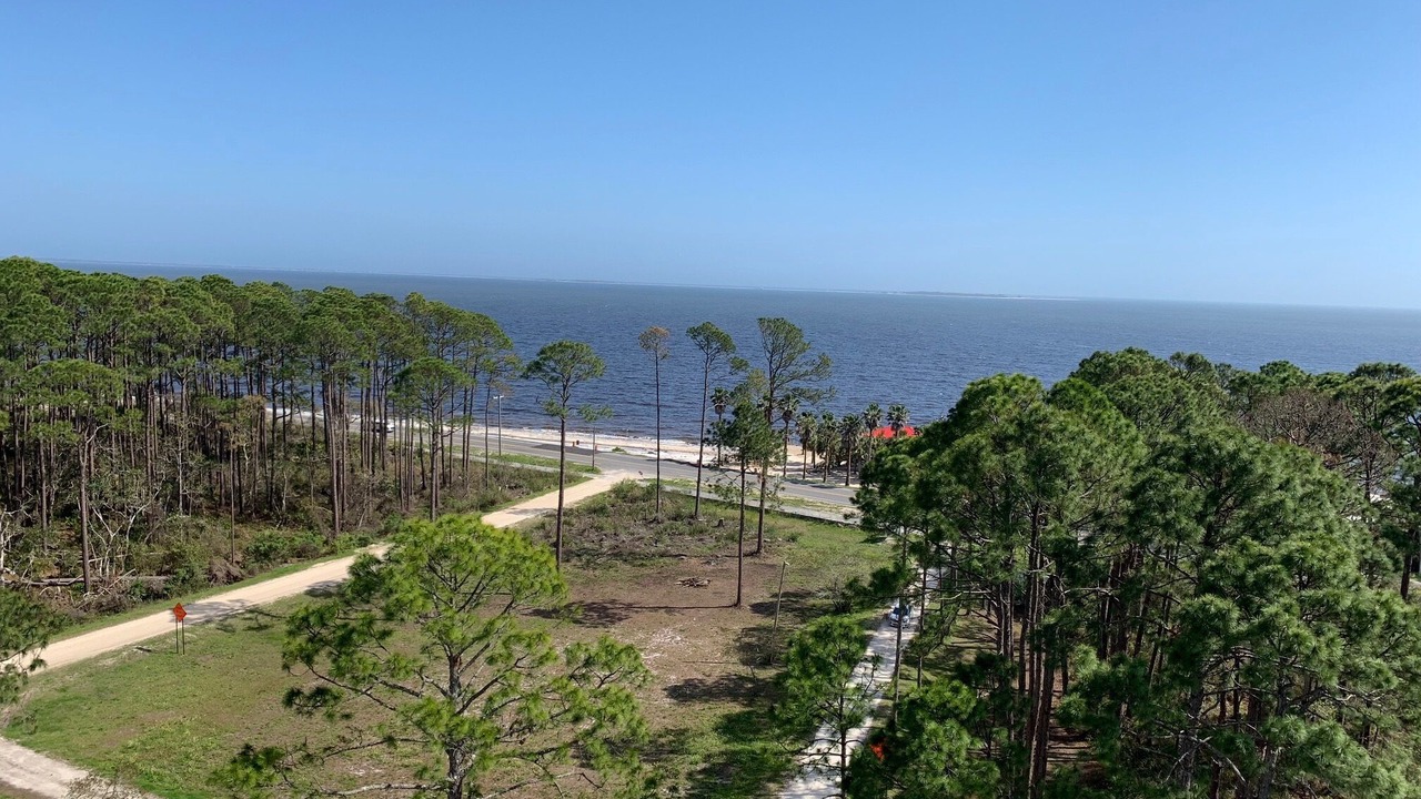 Photo of Others in Alligator Point