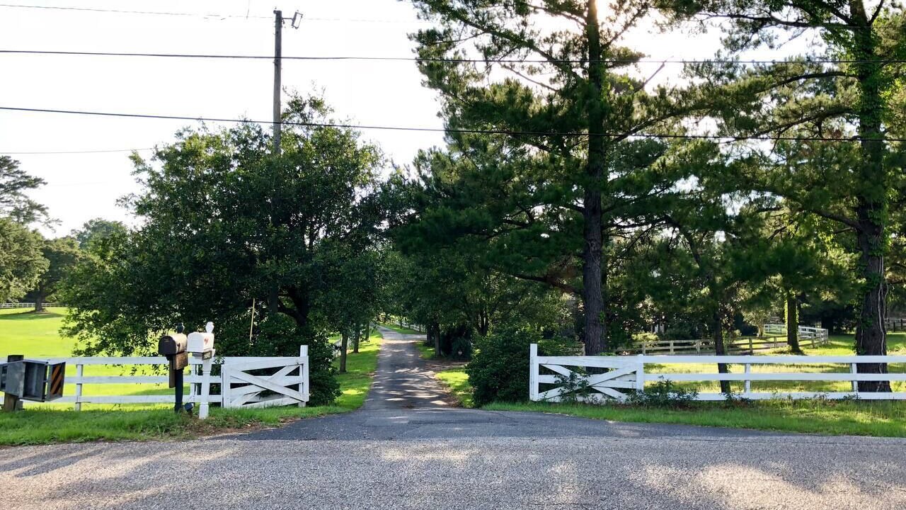 Photo of Outdoor in Point Clear