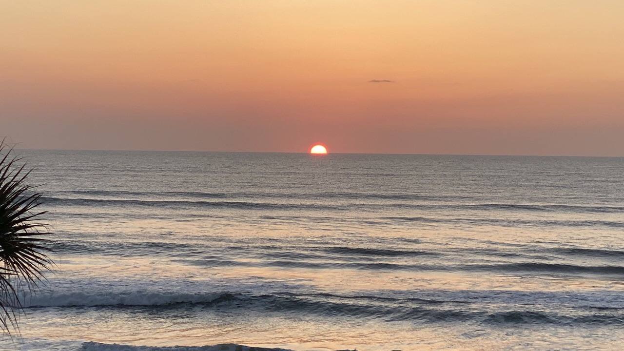 Photo of Others in Daytona Beach