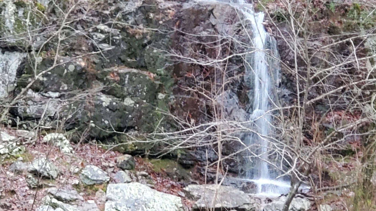 Photo of Others in Jones Mills