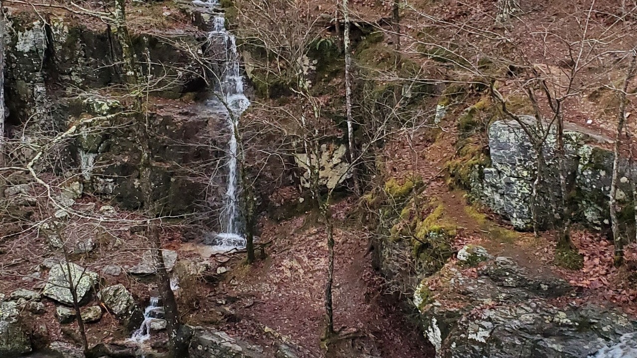 Photo of Others in Jones Mills