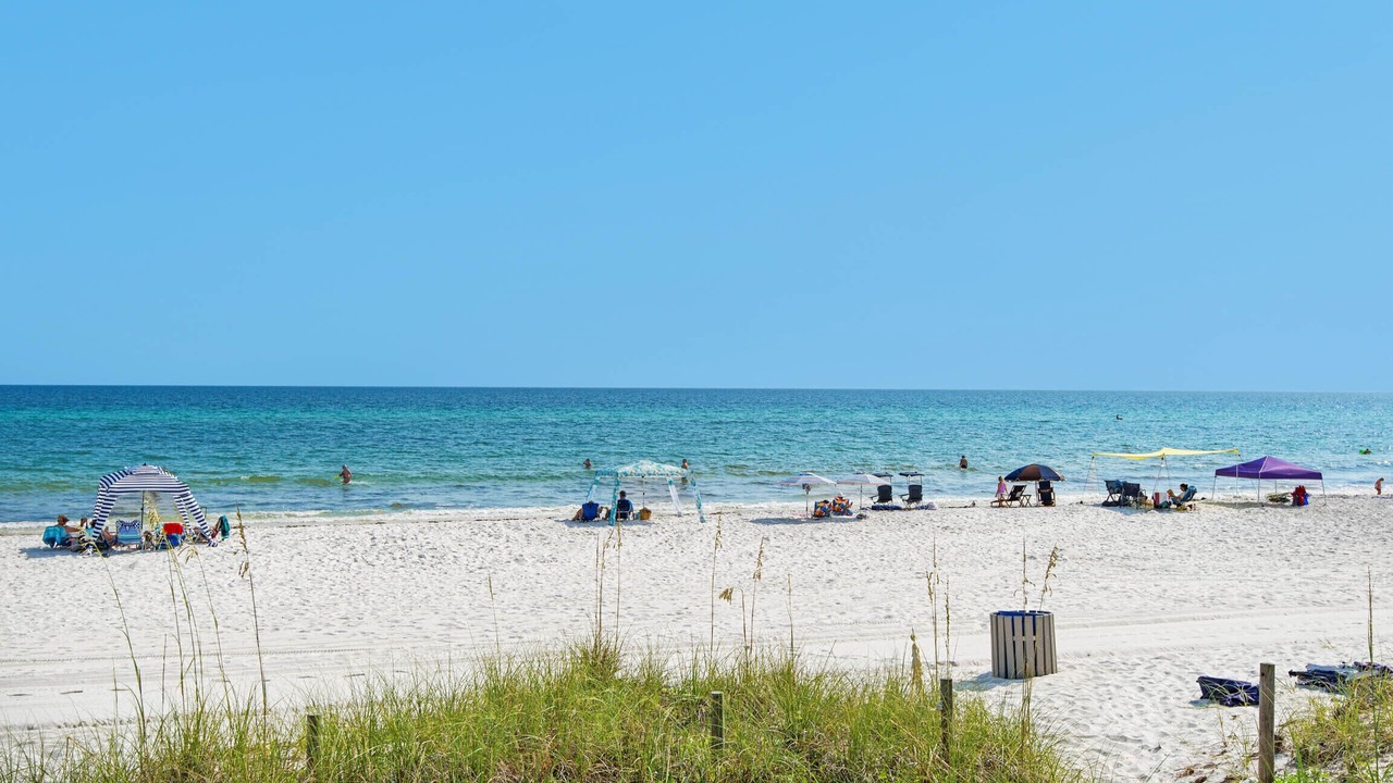 Photo of Others in Fort Bay