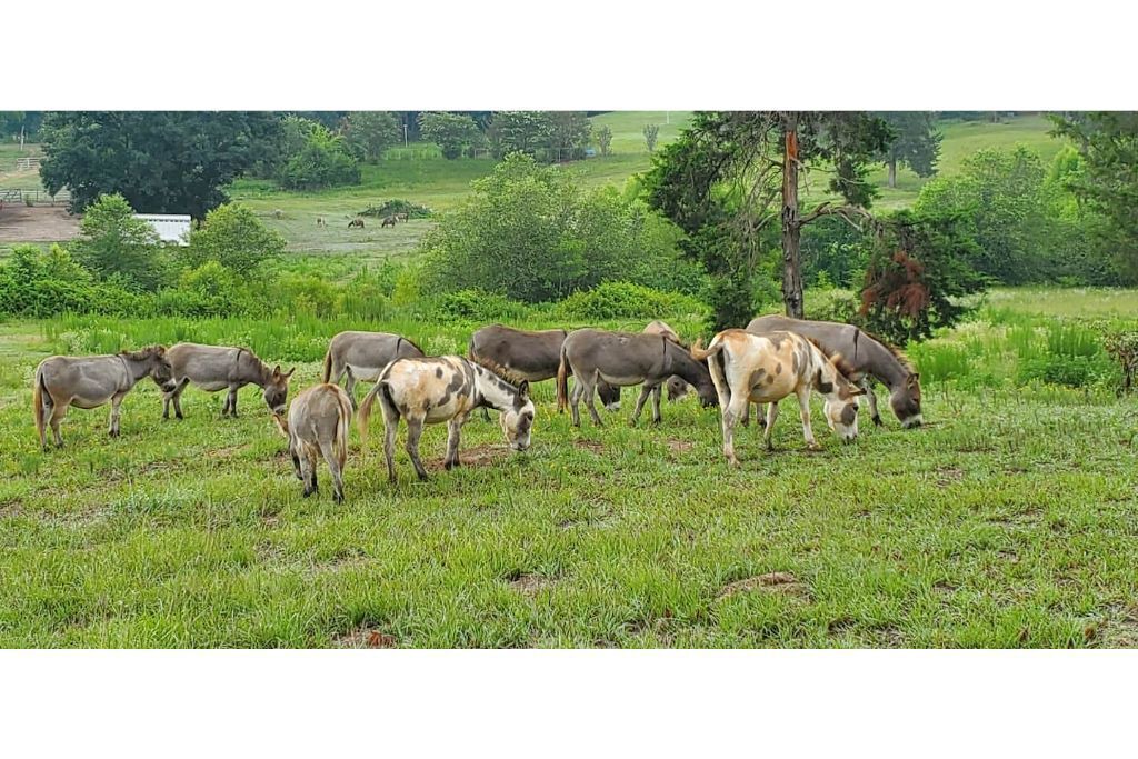 Photo of Outdoor in Big Sandy