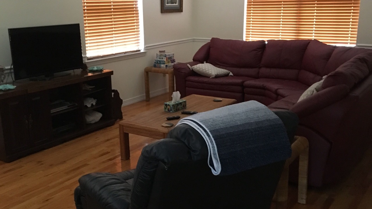 Photo of Livingroom in Theodore