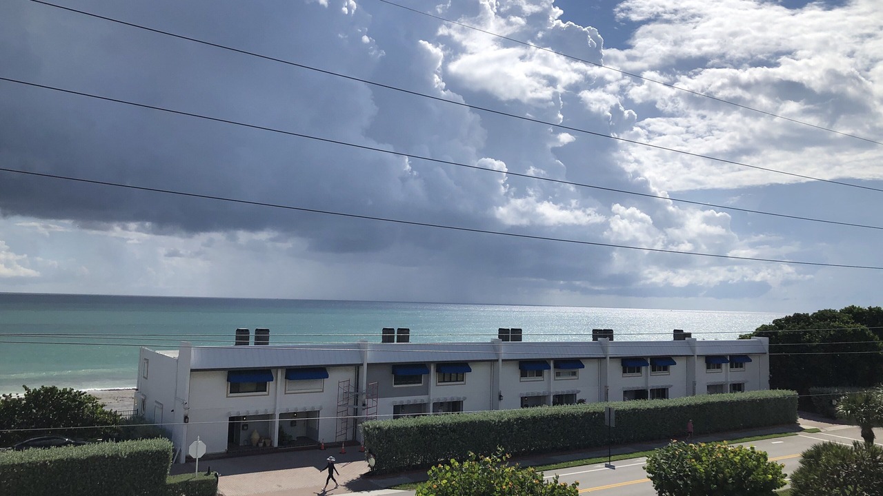 Photo of Others in Juno Beach