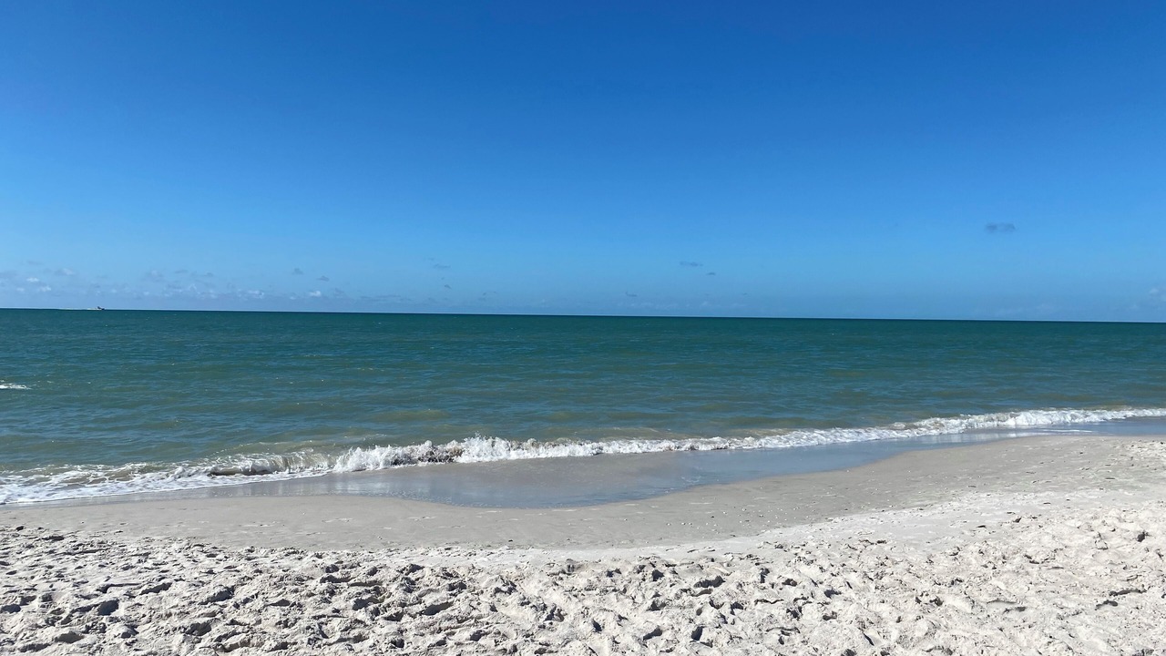 Photo of Others in East Naples
