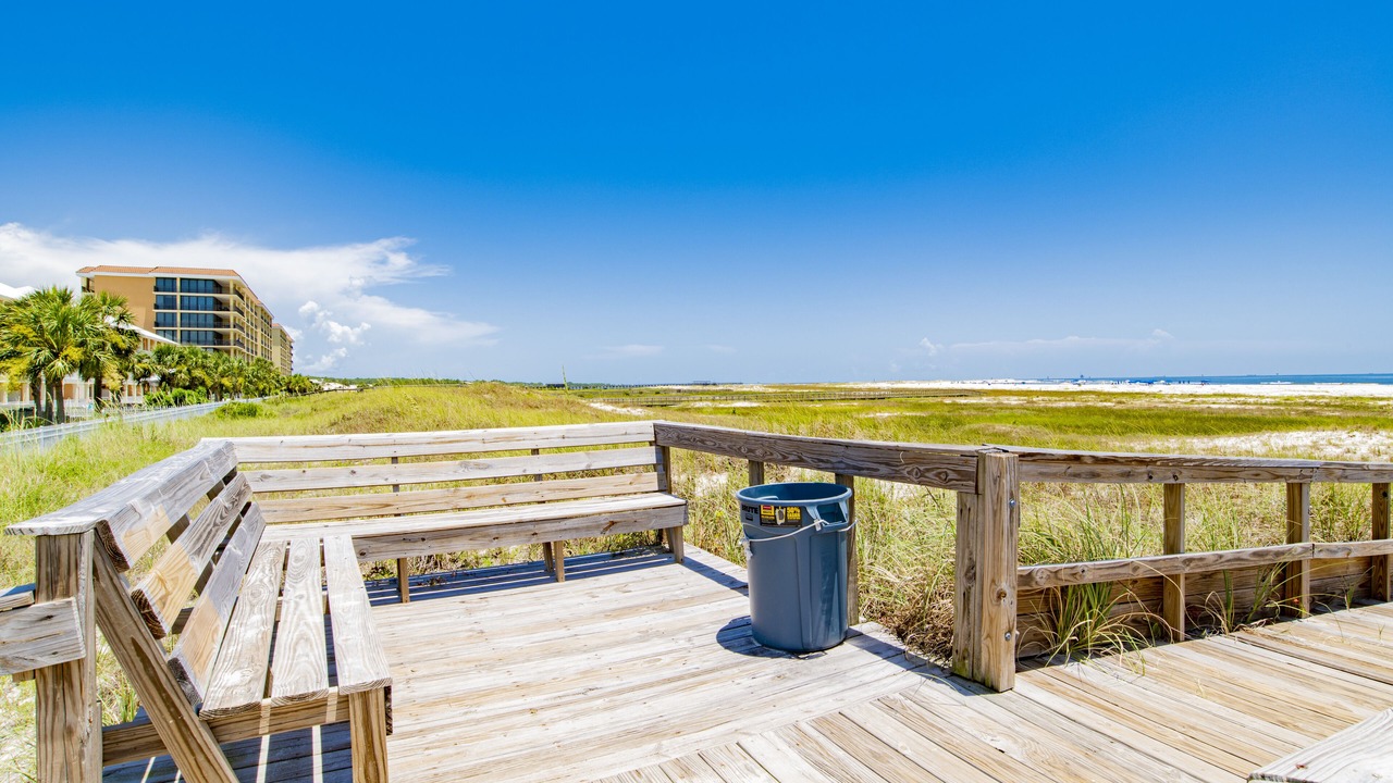 Photo of Outdoor in Dauphin Island