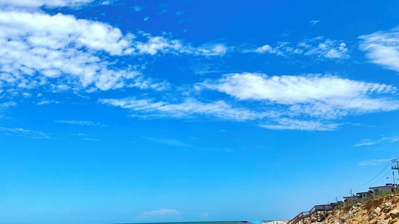 Photo of Others in Ormond-by-the-Sea