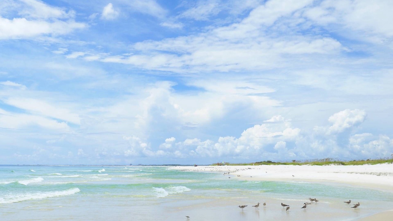 Photo of Others in South Pensacola
