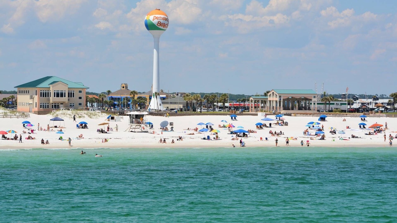 Photo of Others in South Pensacola