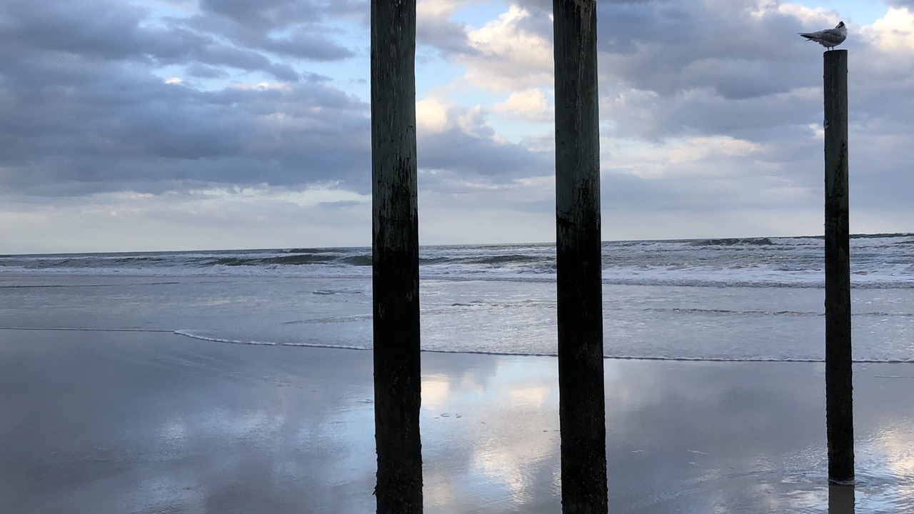 Photo of Others in Daytona Beach