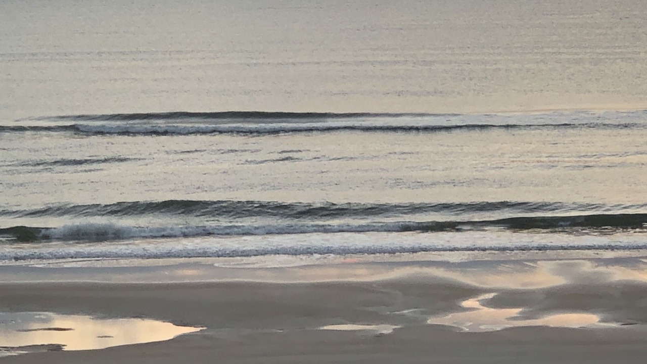 Photo of Others in Daytona Beach