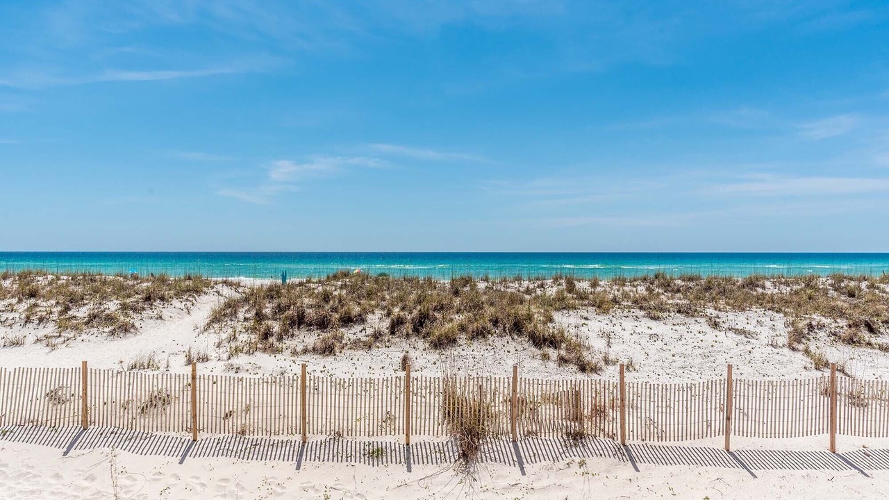 Photo of Others in Pensacola Beach