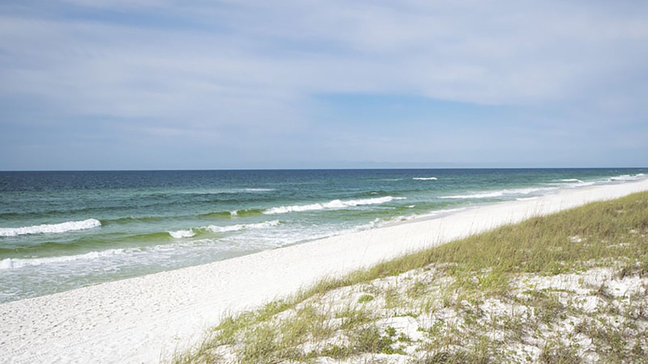 Photo of Others in Navarre Beach