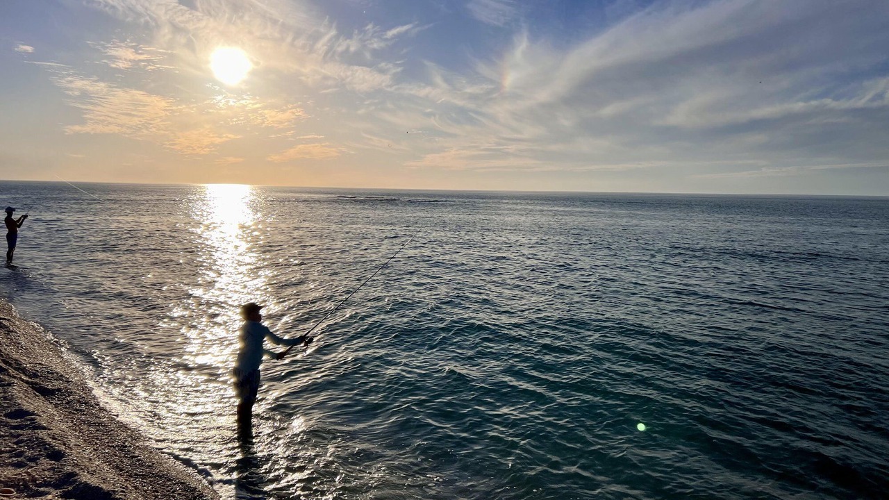 Photo of Others in North Captiva