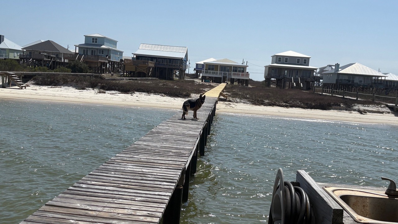 Photo of Others in Dauphin Island