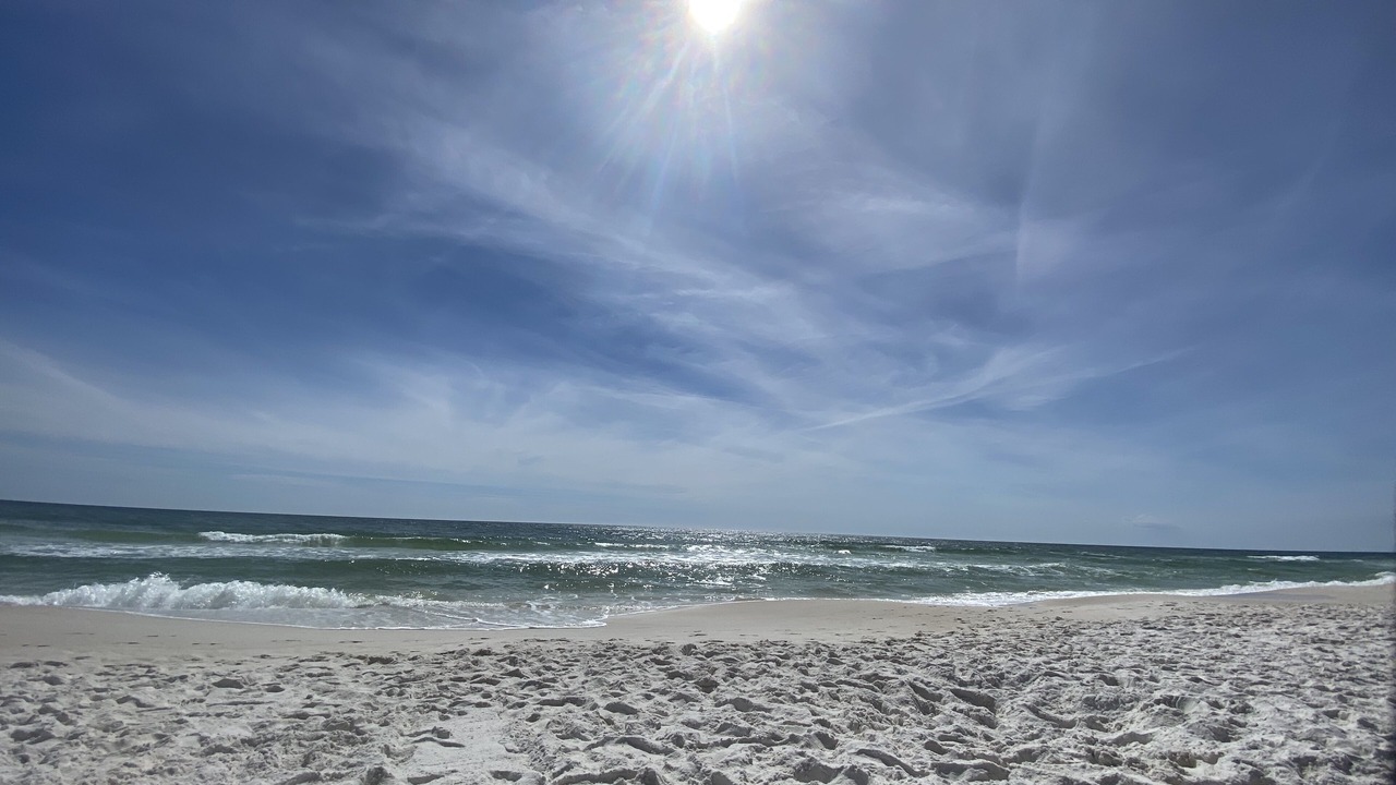 Photo of Others in White's Gulfview