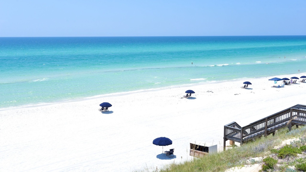 Photo of Others in White's Gulfview