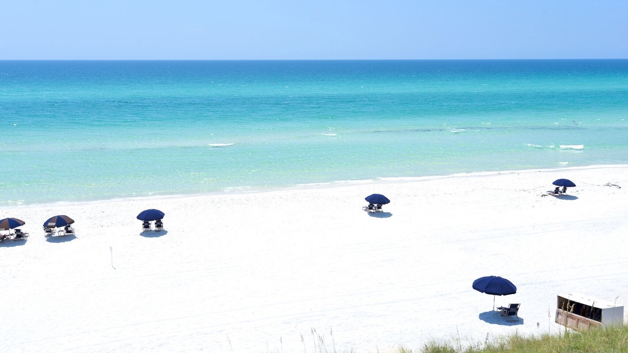 Photo of Others in White's Gulfview