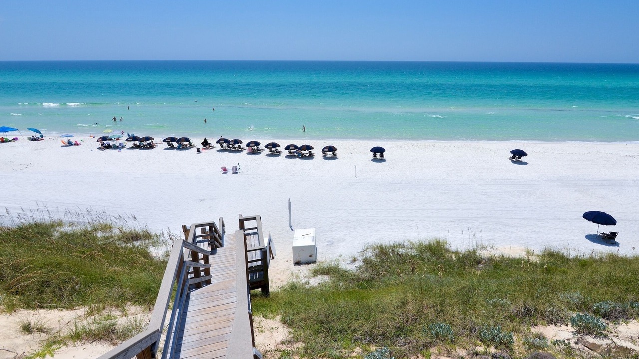 Photo of Others in White's Gulfview