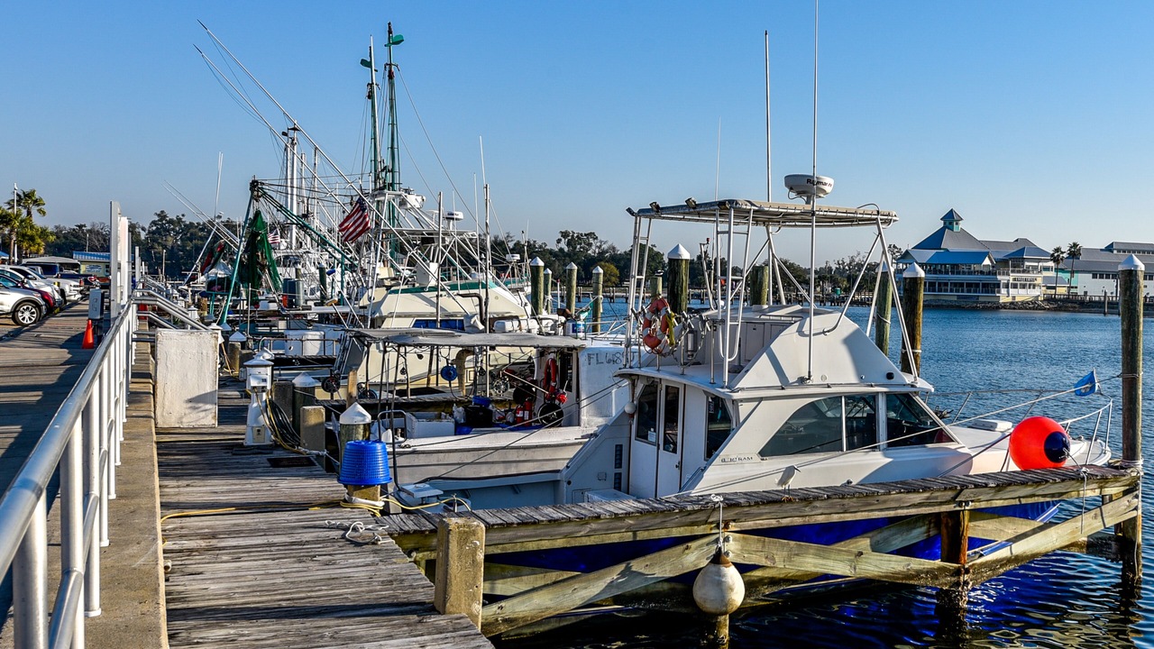 Photo of Others in Panama City
