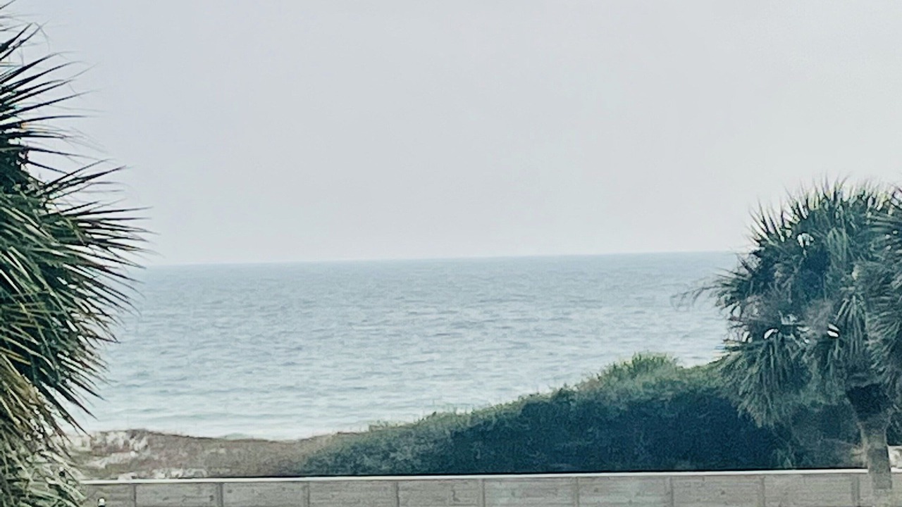 Photo of Outdoor in East End