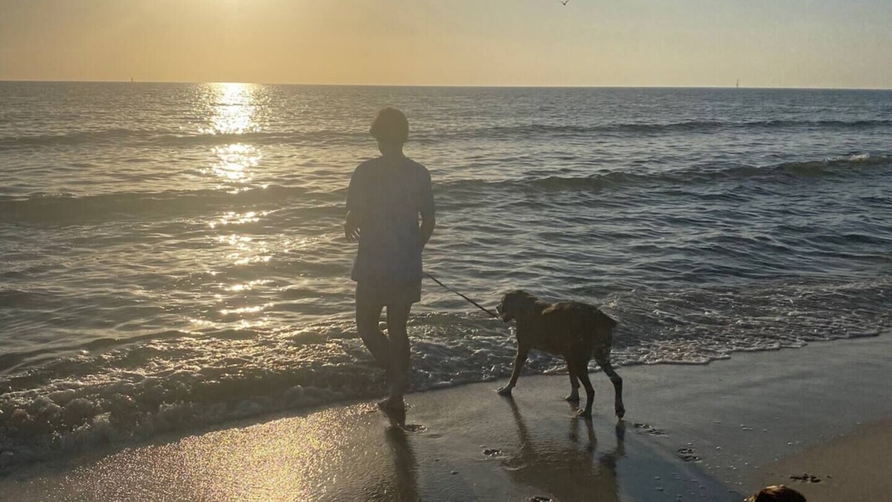 Photo of Others in Port St. Joe
